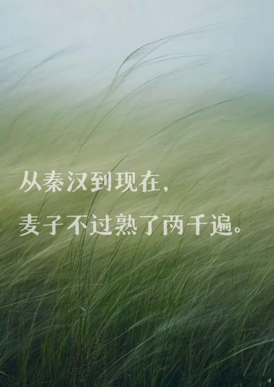 ——天地宏大，神性而悲悯的顶级文字 ​​​
