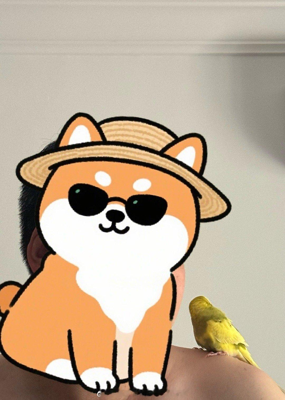 小鸟最喜欢的人竟然是他！因为个子高，小鸟站身上觉得视野好。 ​​​