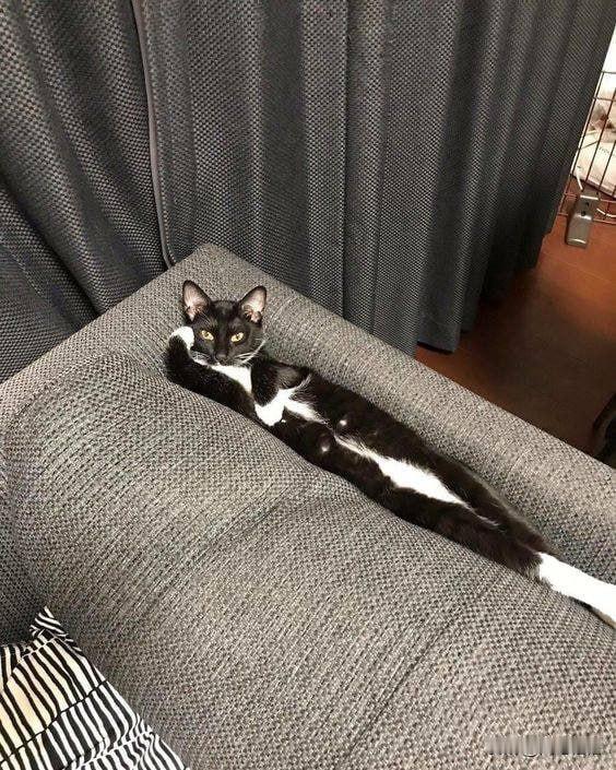 优雅