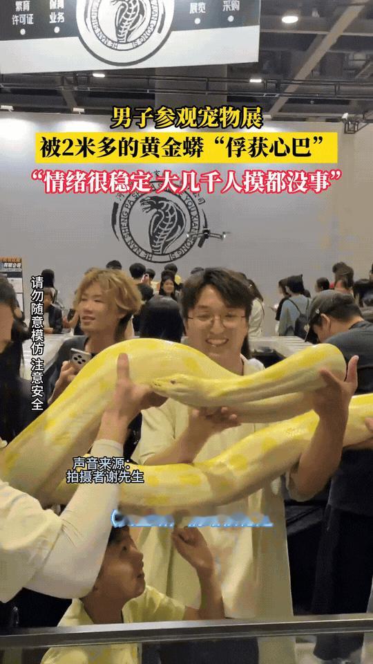 “走不动路了！”广东，男子参观宠物展，看到一个“宠物”后不想走了，原来这只宠物是