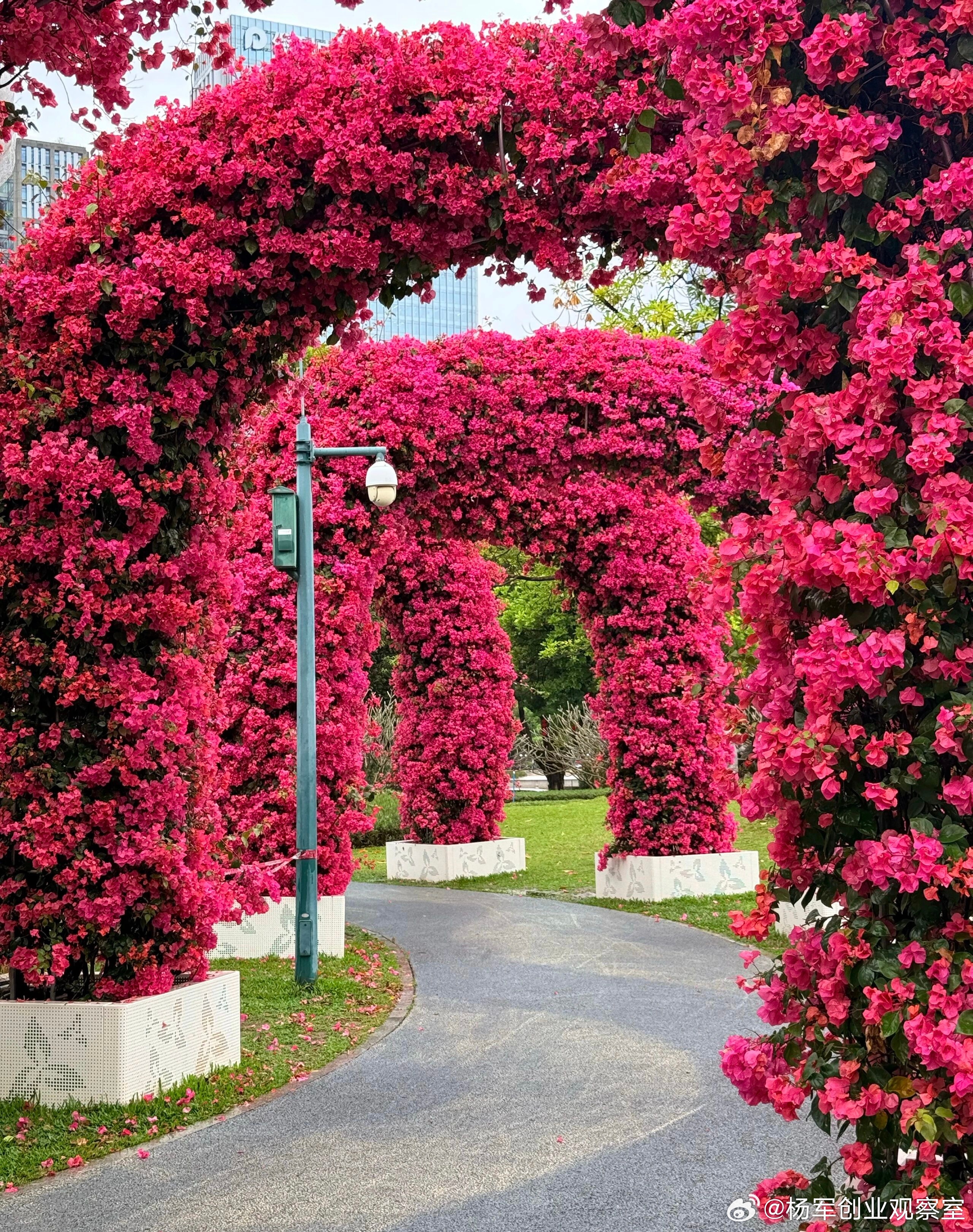 并购不仅是买卖，更是战略合谋。几个关键避坑点，供参考：1. 支付方式：不只是“钱