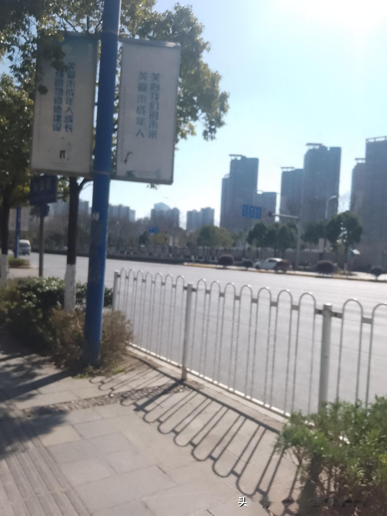 感觉昆明今年的樱花开得迟了些日子。记忆中去年这个时候，拍照位置的樱花和公路隔离栏