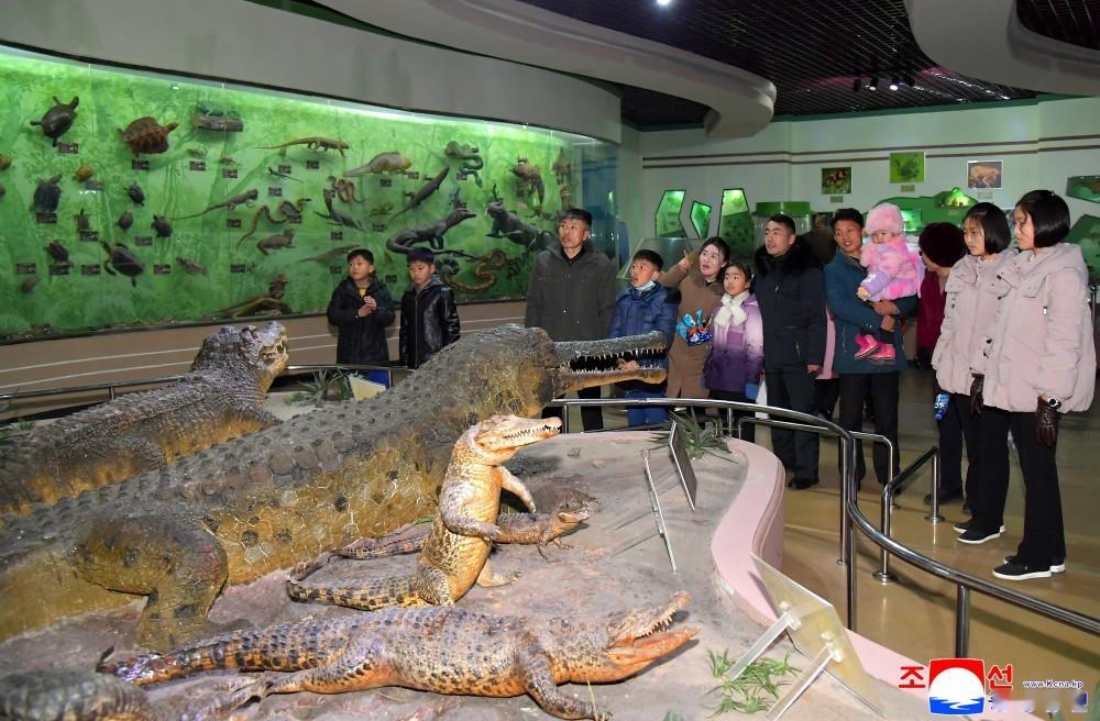🔴【各地喜迎年节】目前，全国人民有意义地迎接了年节。值此年节之际，思念之河不断