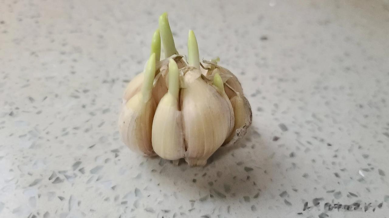 人到中年，无论男女，都会觉得或多或少的不舒服，比如疲劳乏力，颈肩痛，消化不良，郁