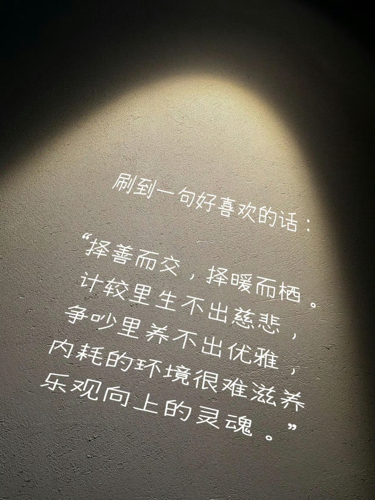 刷到一句好喜欢的话：为什么人要择善而交，择暖而栖。因为计较里生不出慈悲，争吵里养