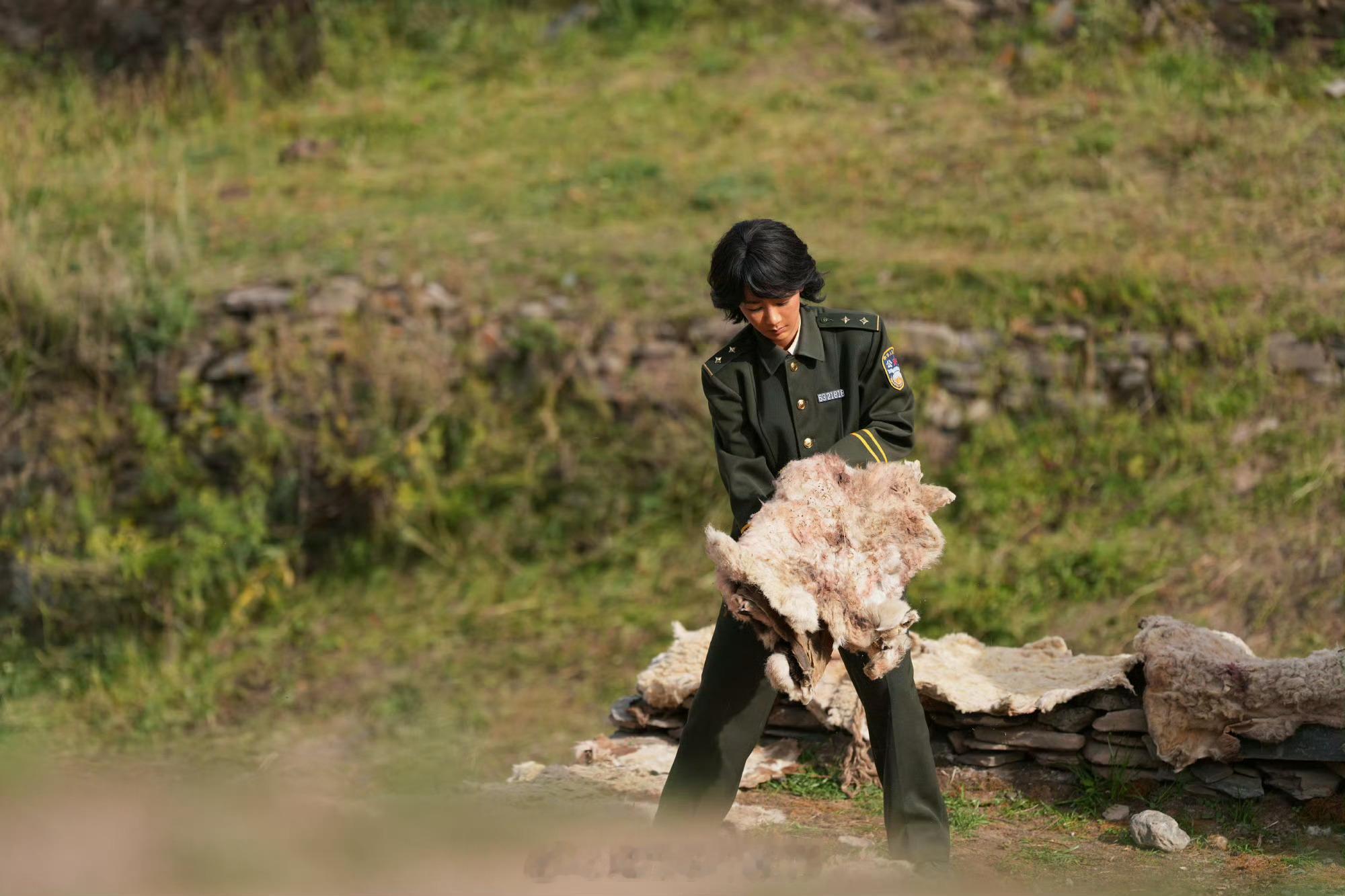 全能白菊，多变的杨紫，生命树演的很好呀