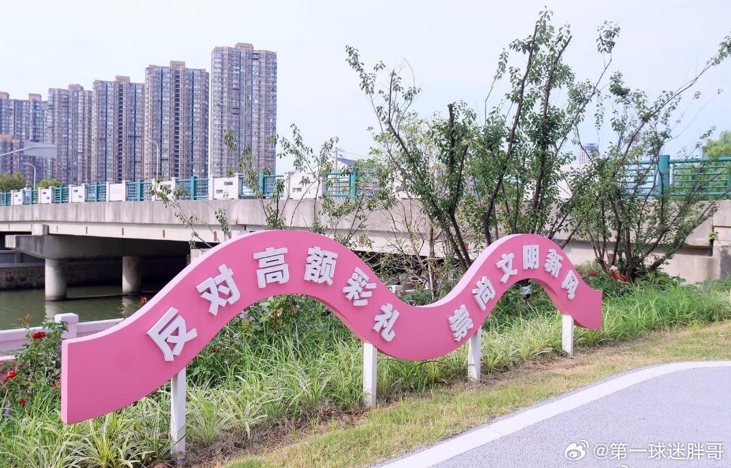 两会观察团建议以家庭年收入2至3倍为彩礼上限 这次两会，全国人大代表石炳启提出以