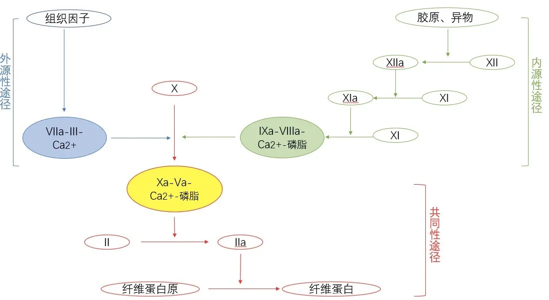 凝血功能指标结合临床病例