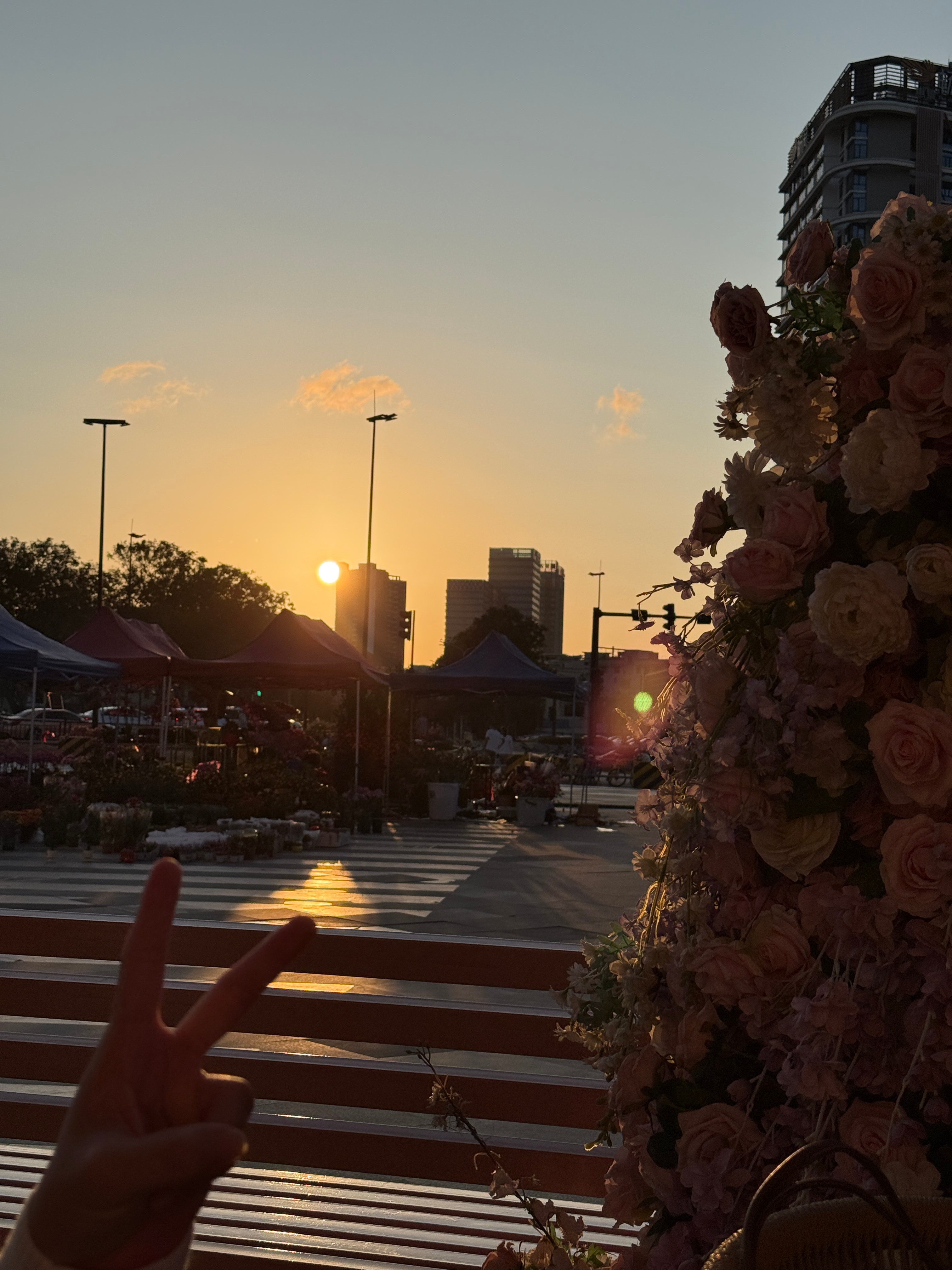 敞开衣服，接收最后的余晖