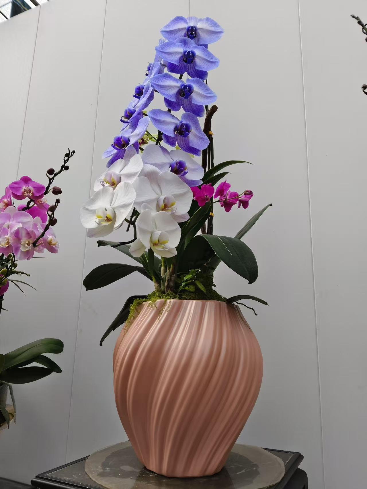 晒图笔记大赛花卉展