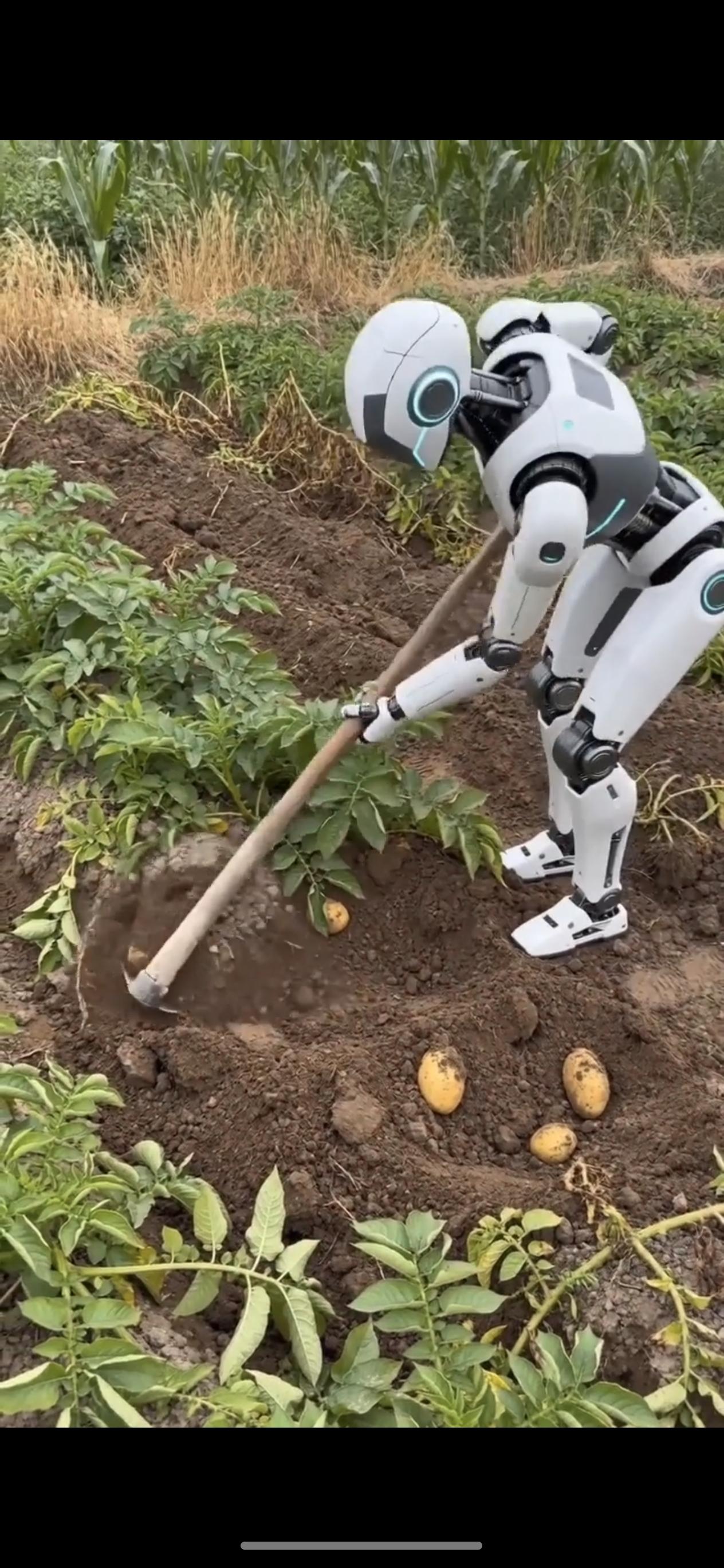 看到这个ai图，我都想笑。高射炮打蚊子？明明可以更好的方式去挖土豆，去插秧，却用