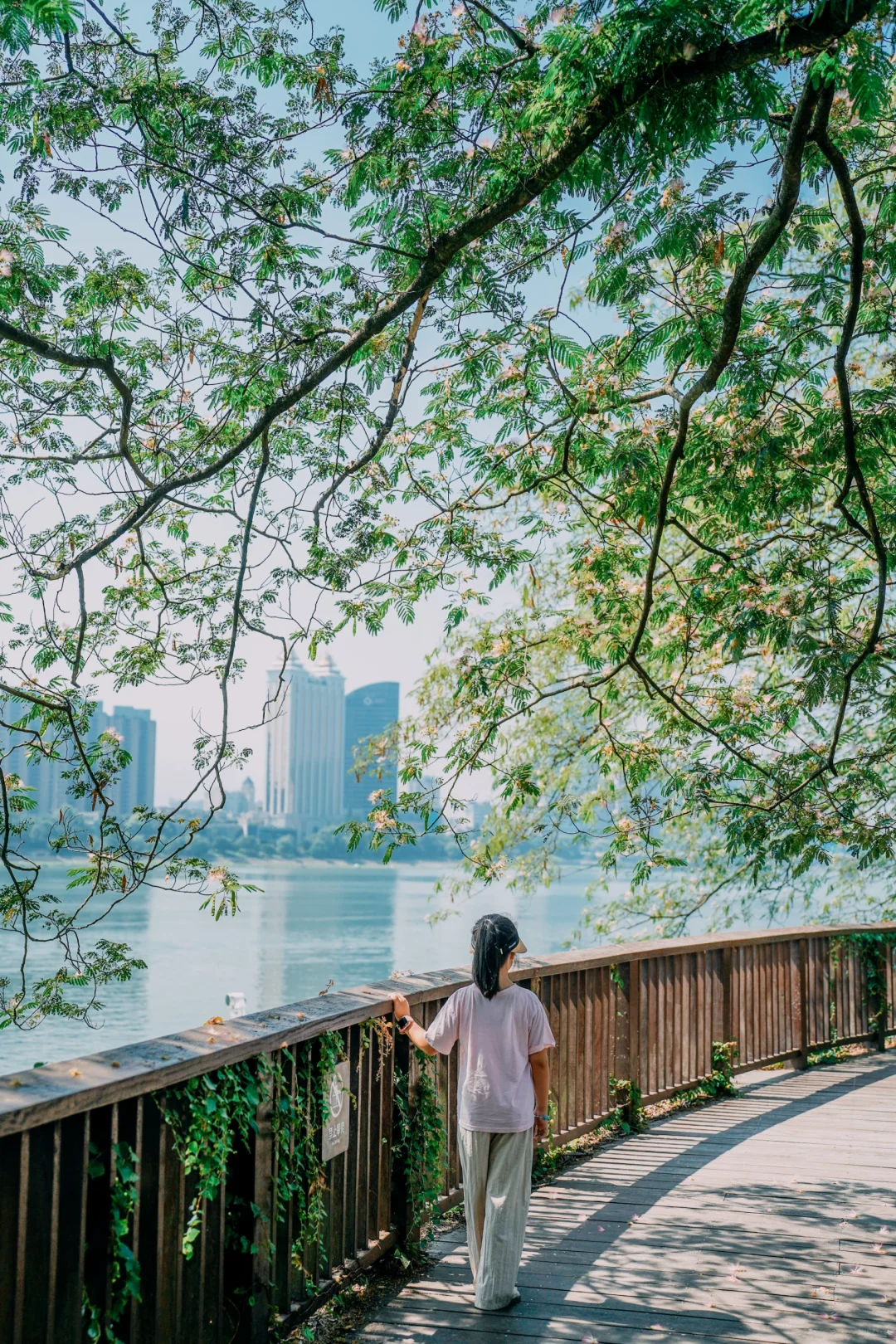 桐庐富春江边可以封神的合欢花❗❗美炸了❗