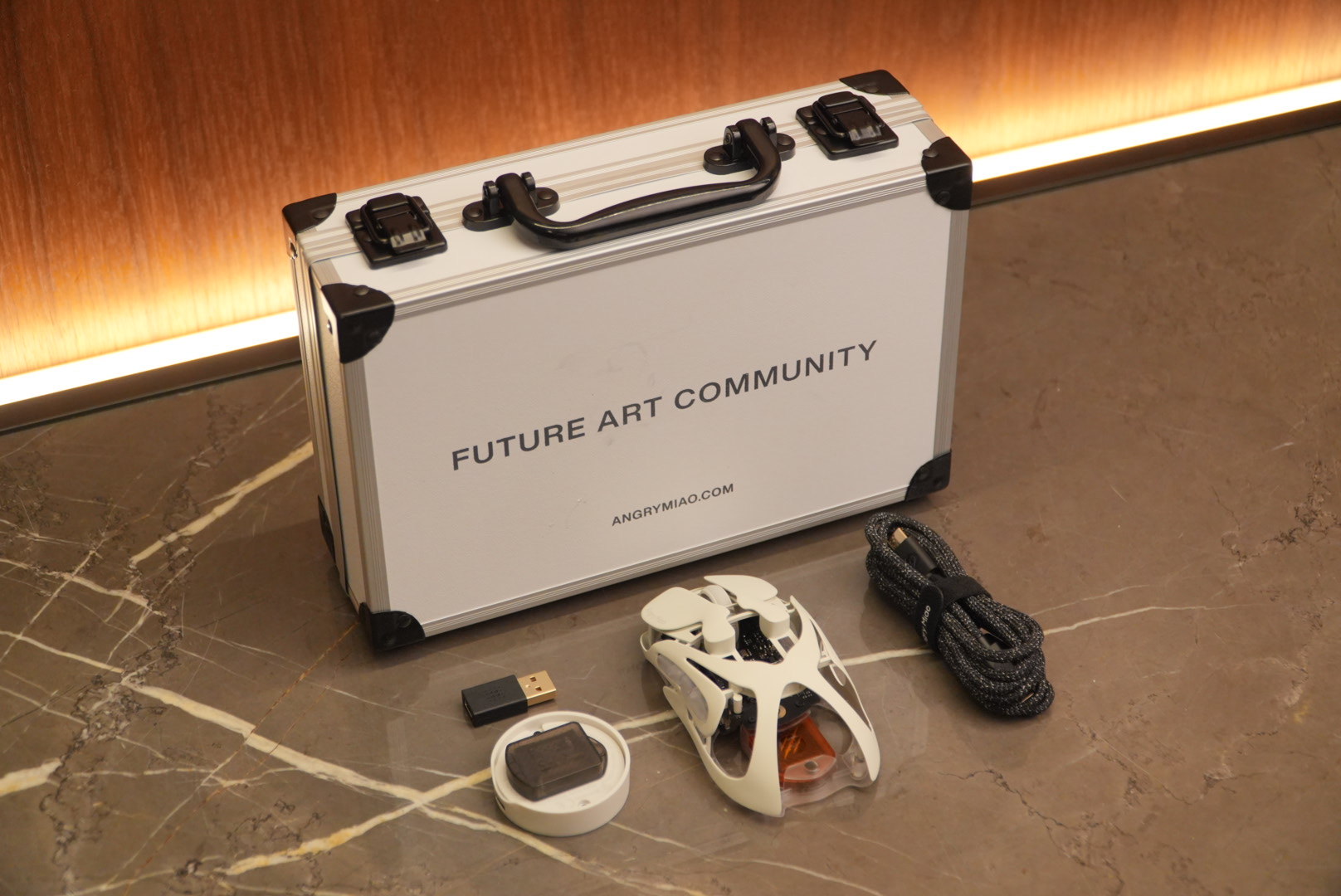 来给你们看看哥收到的圣诞礼物？这鼠标小 1000，我从来没用过这么贵的鼠标。他是