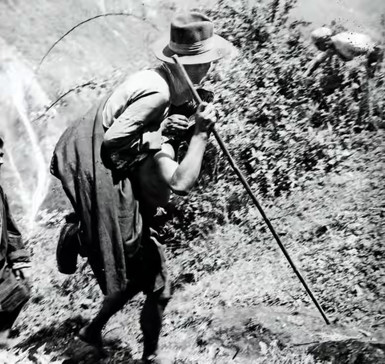 你知道解放前西藏农奴制有多可怕吗？少女沦为玩物，农民不如耗牛。

我跟你讲个真事