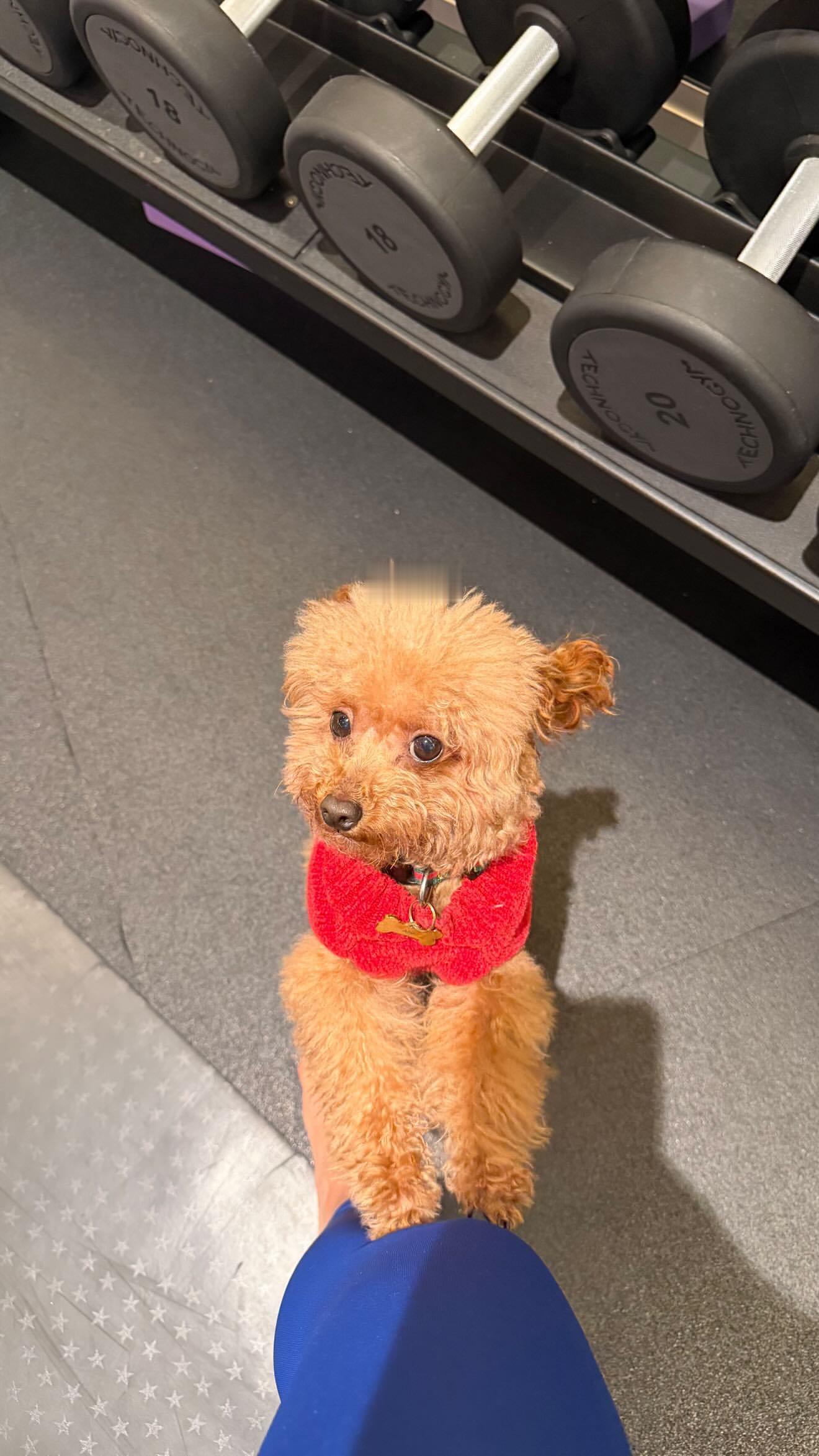 安妞更新快拍🤎梅西