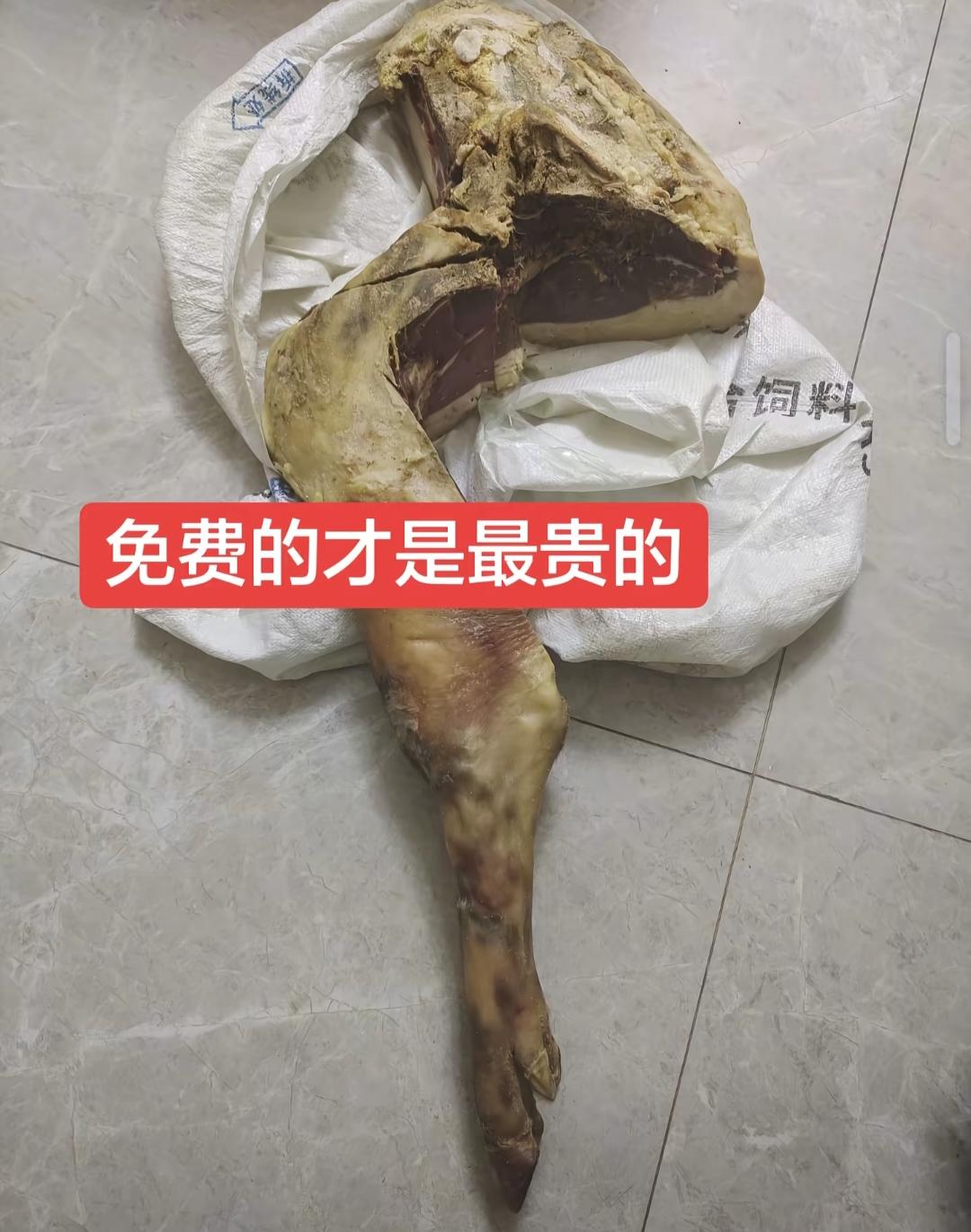 我妈给我寄了只这样的猪蹄，快递还是到付，，隔几天就给我打电话，找我要1万块钱给弟