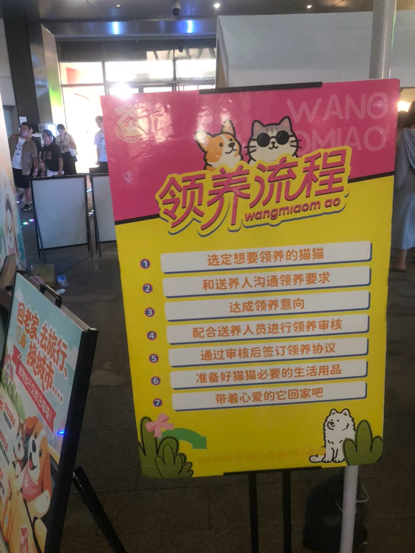 遇见城市流浪动物领养计划 每个小动物都好可爱 志愿者里有年轻人也有头发花白的老人