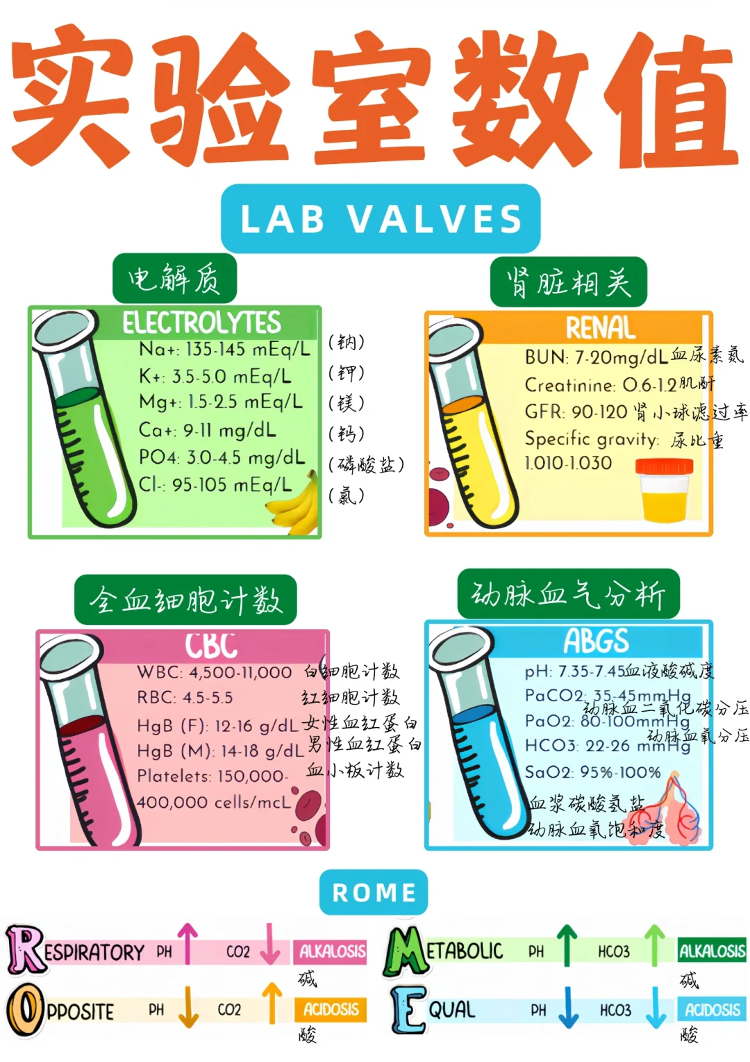 备考RN/常见实验数值！！学！！单词