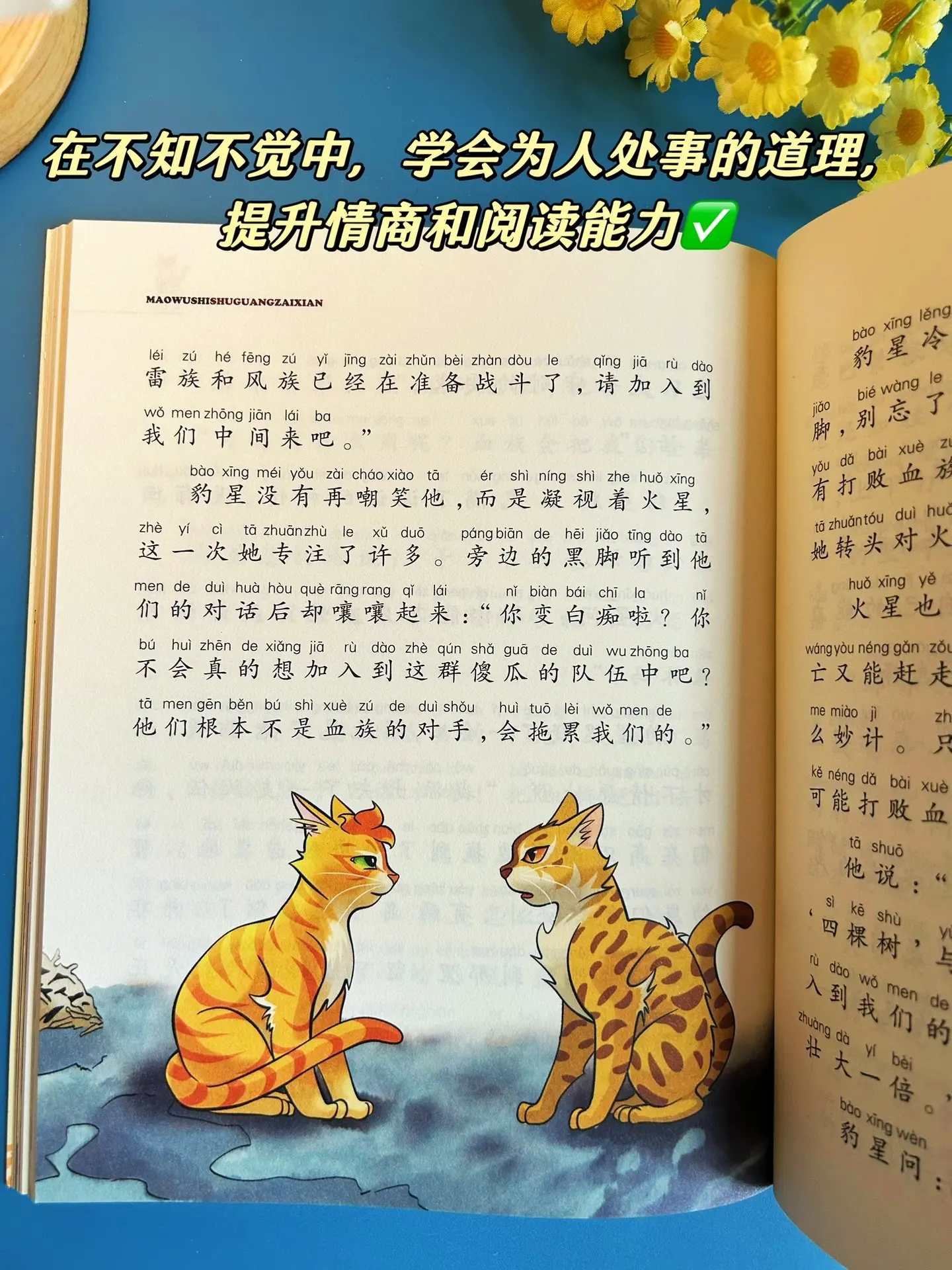 风靡全球的儿童励志动物小说《猫武士》🔥。终于等来了学而思首发的彩绘注...