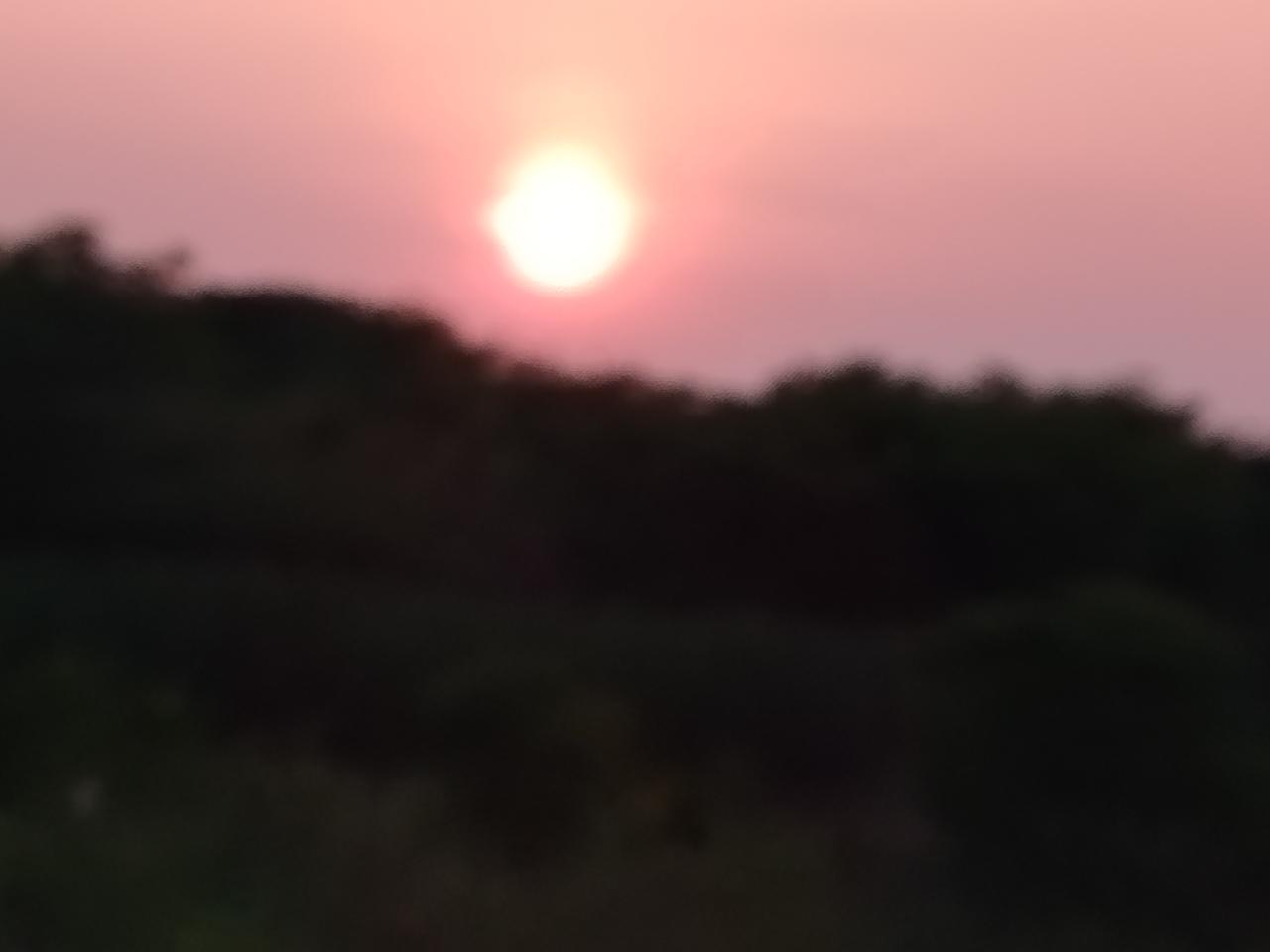 夕阳红
2026年6月6日拍摄于梁子湖畔