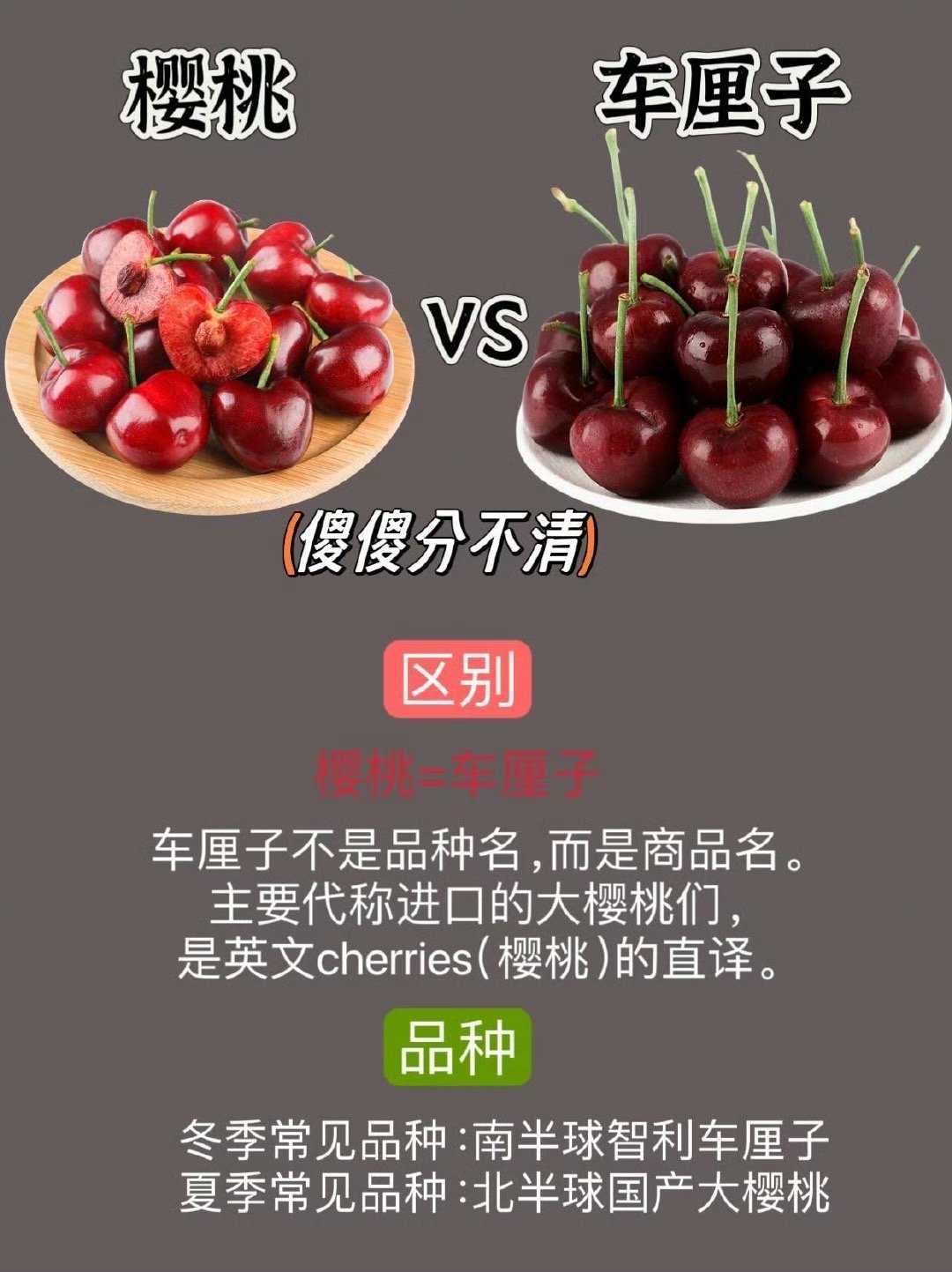 车厘子快比草莓便宜了 看来今年车厘子将成为大家年货清单上的明星产品，终于可以实现