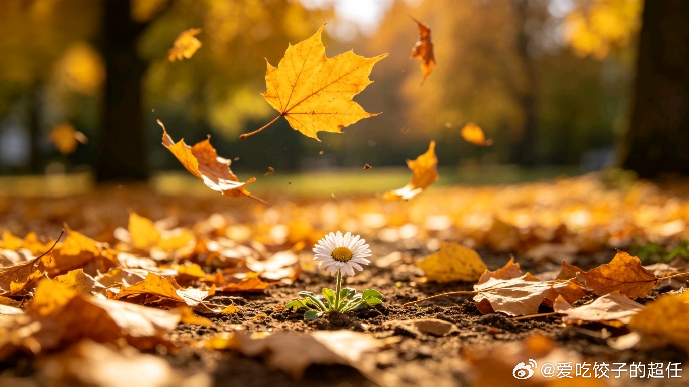 所有失去，都会以另一种方式归来。——东野圭吾 