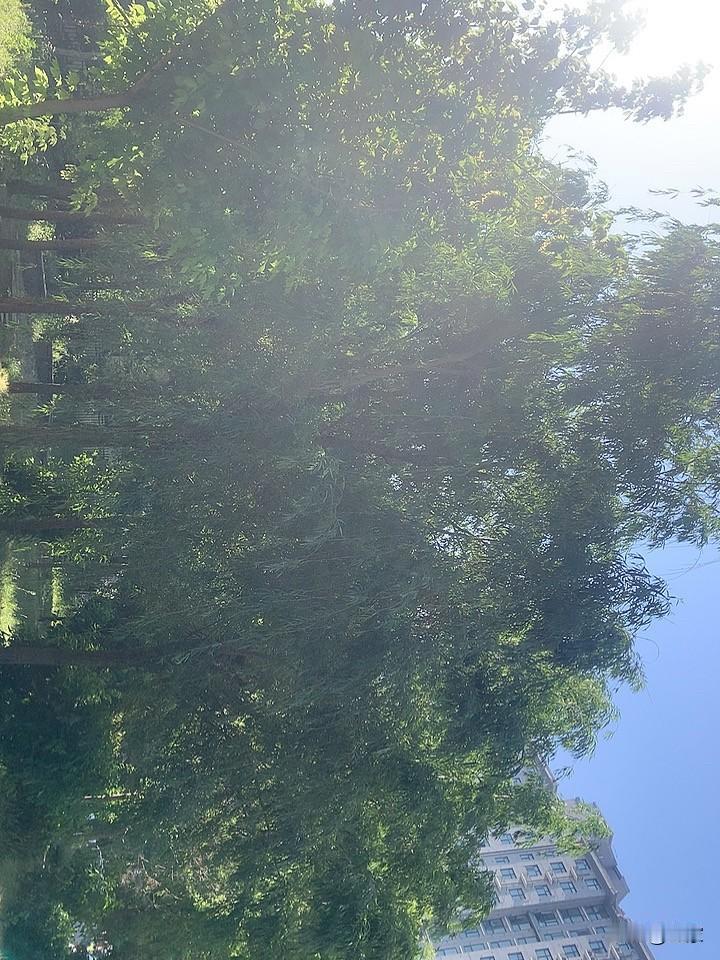昨天晚上9点左右接到了一个自称为魔法现金平台工作人员的电话说，我在2017年借的