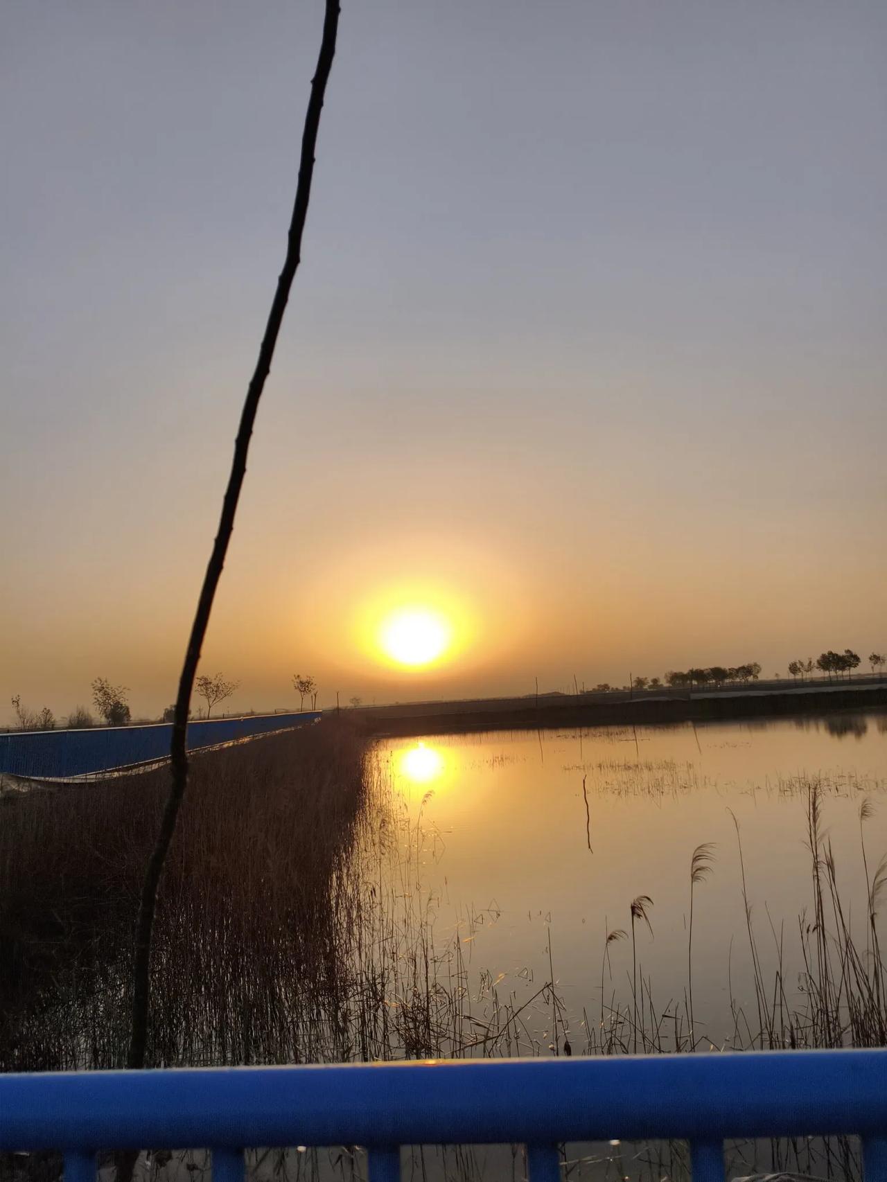 梧桐叶在风里晃出碎金，奶茶店的玻璃映着云朵流浪的轨迹。
镜头蹲下来时，发现砖缝里