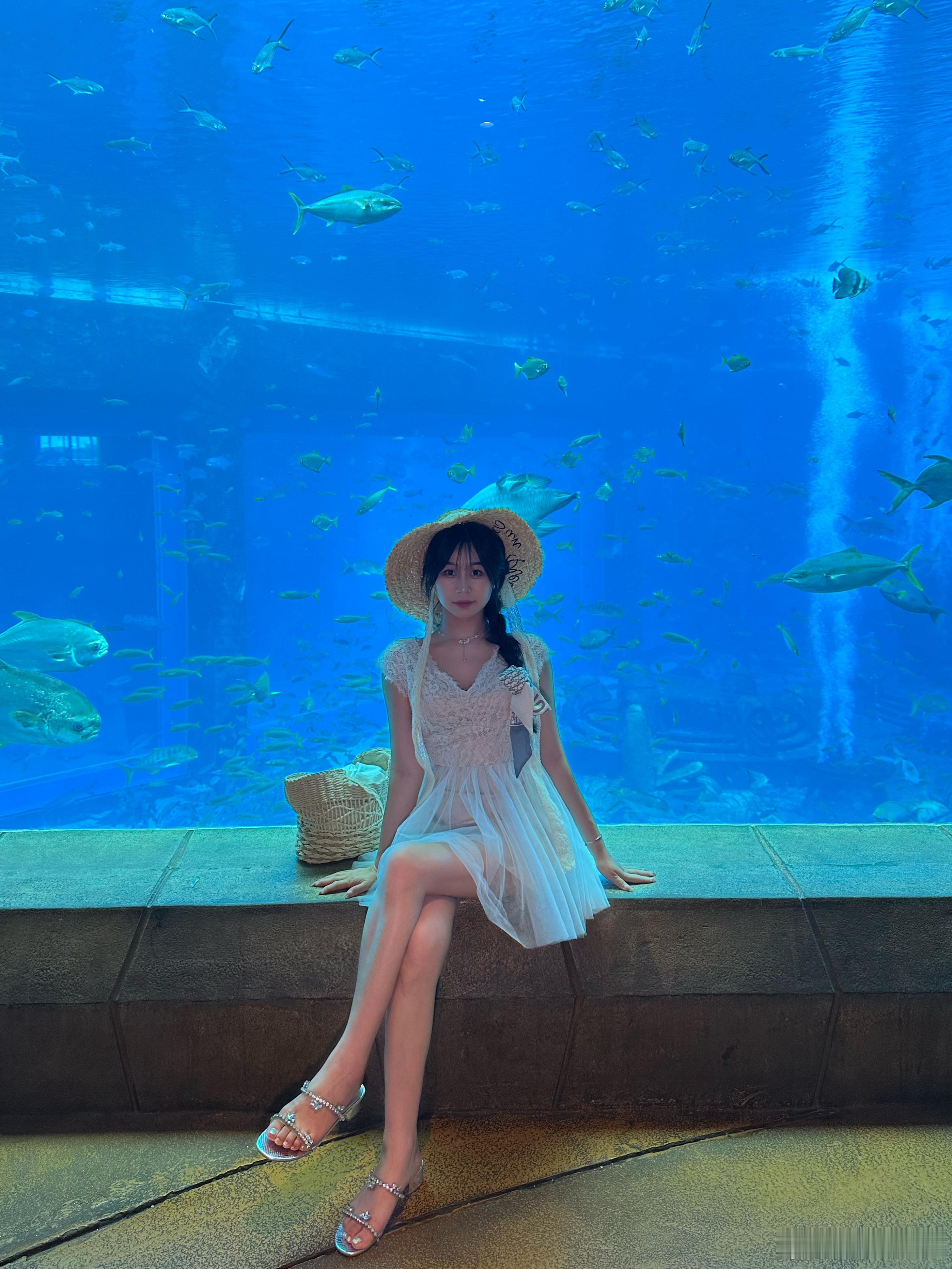 🐬 ​​​
