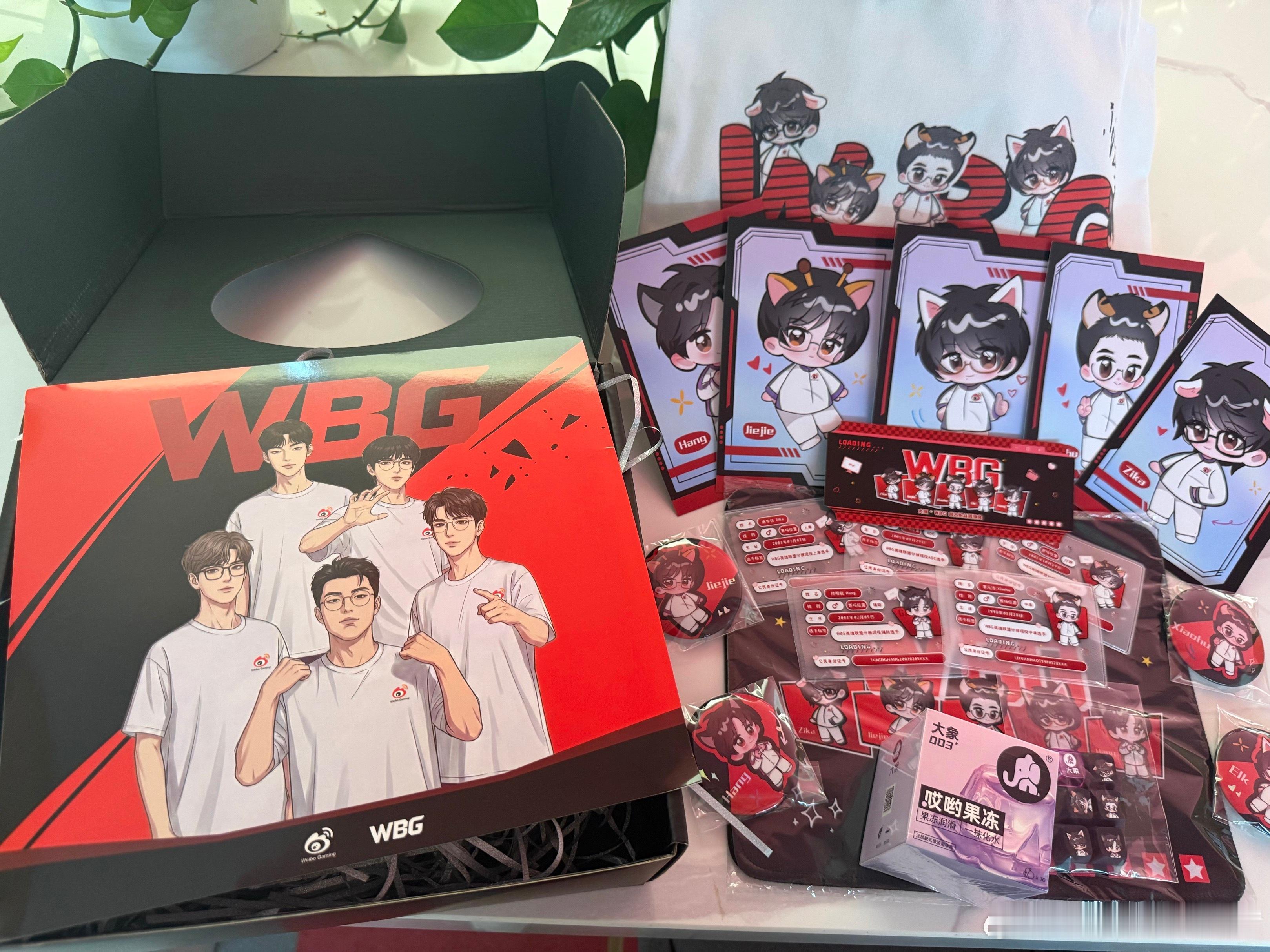 WBG大象正式连接 谁懂啊，这套大象联名周边真的很电竞，燃起来了WBG同款礼盒W