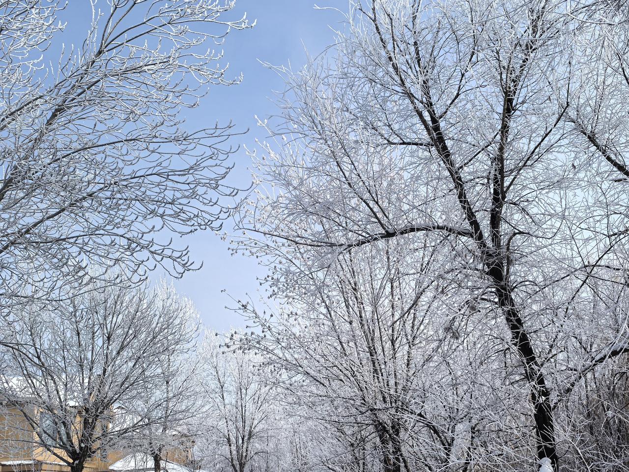 求一张唯美的雪景照片生活在北方的人，就是喜欢和雪打交道，冬至过后基本进入严冬，树