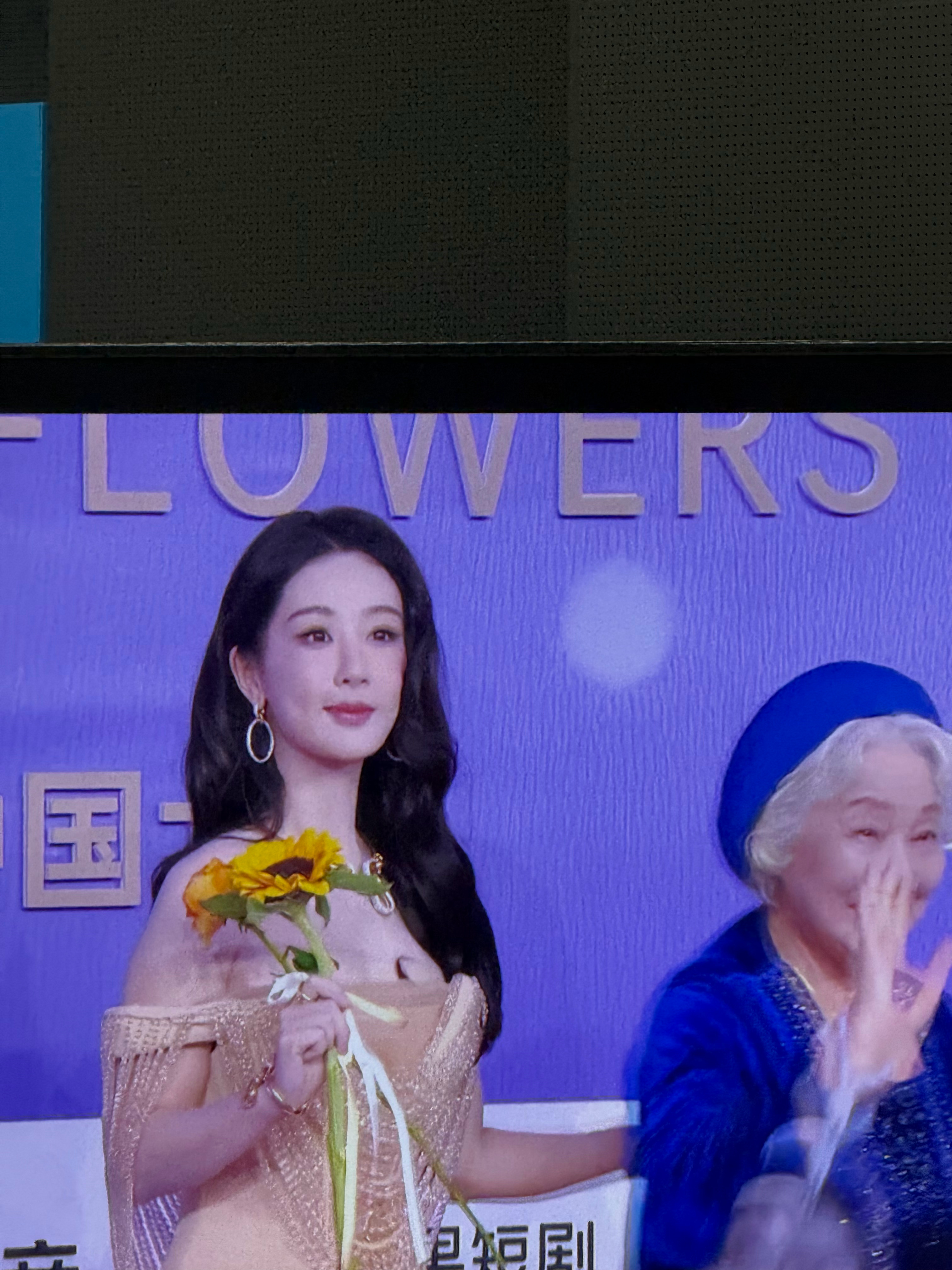 百花红毯官摄的杨紫 好美好温柔第38届百花奖闭幕式大众电影百花奖