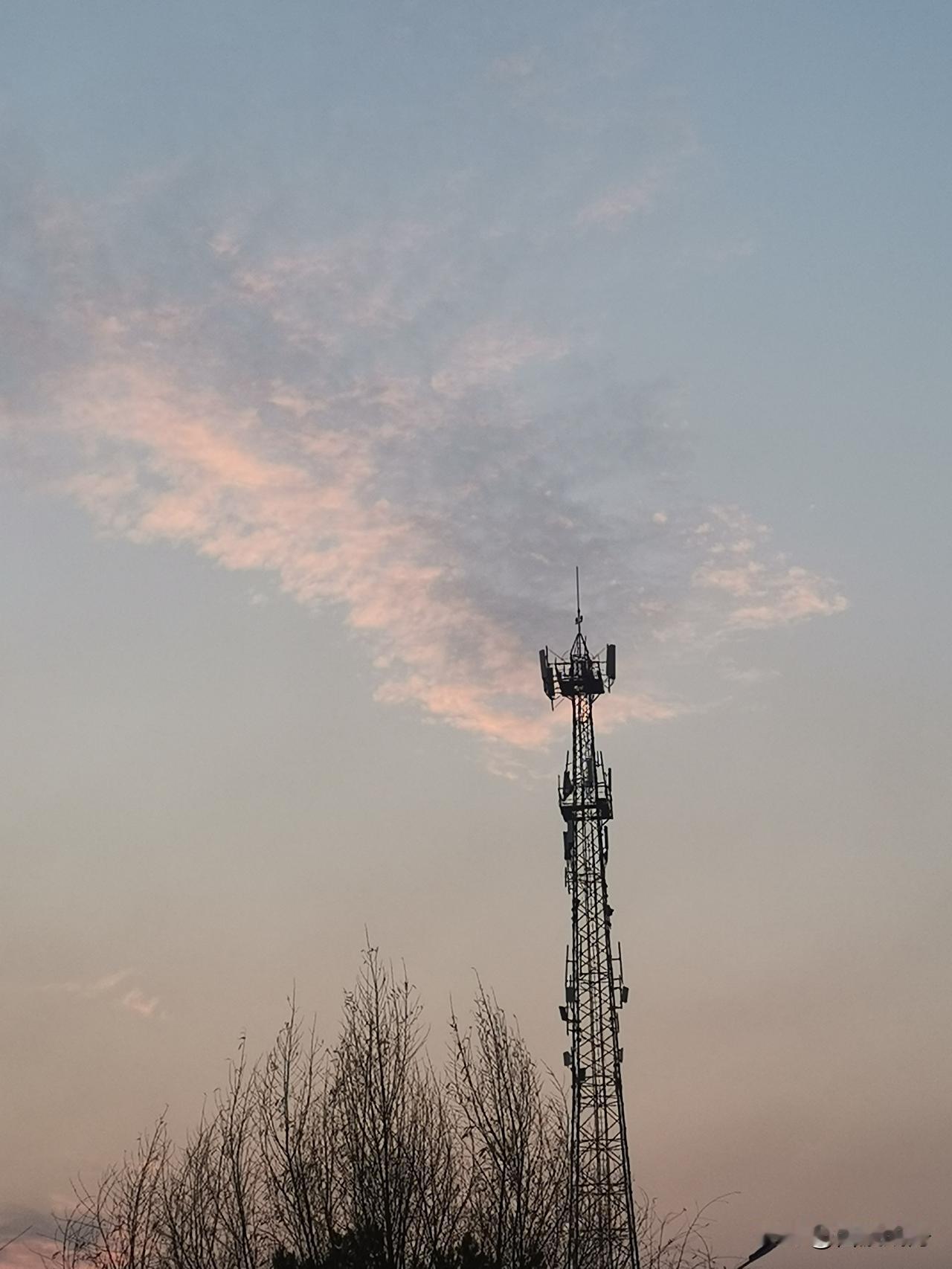日籍艺人的立场有多圈粉，矢野浩二和美依礼芽直接给出标准答案！
 
11月18日，