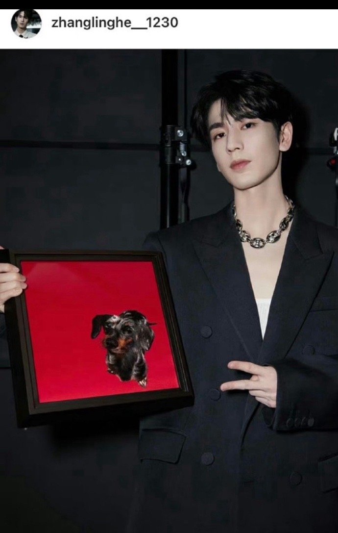 #Gucci 总监晒张凌赫送的苏绣# 哦莫！！！Gucci 总监竟然晒出了张凌赫