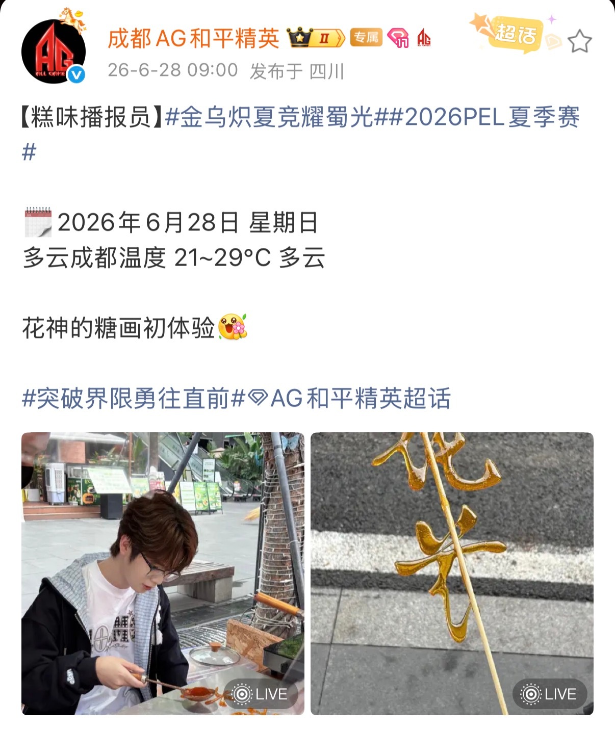 是花花不是画画  解锁手艺人！2026pel2026pel夏季赛