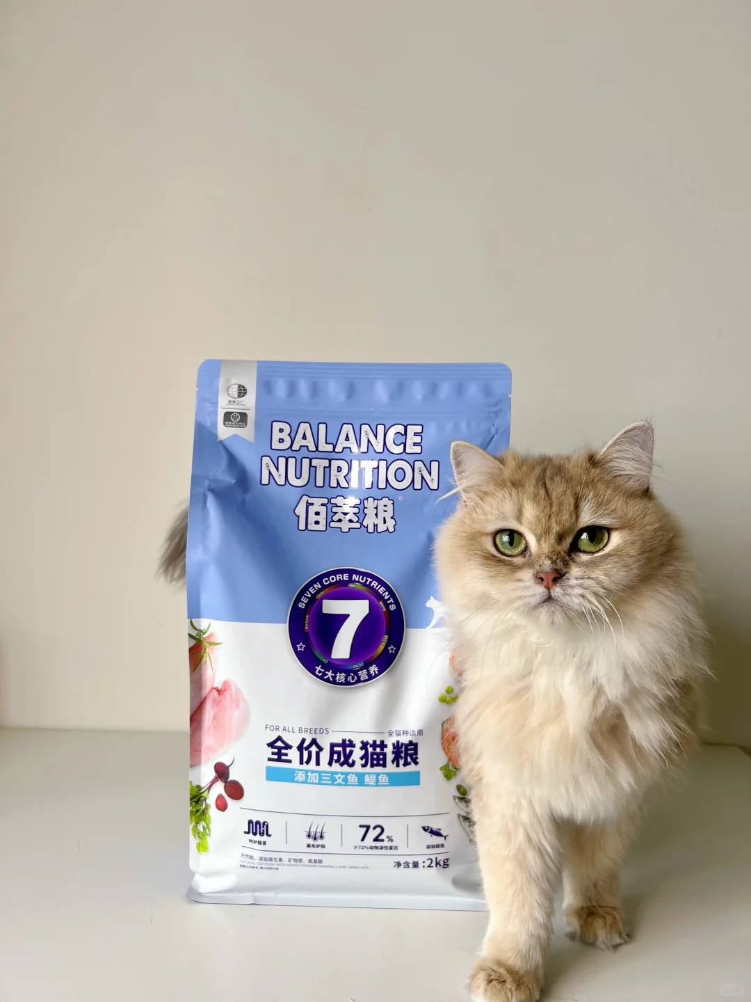 养猫开销大？那是你没遇到他～