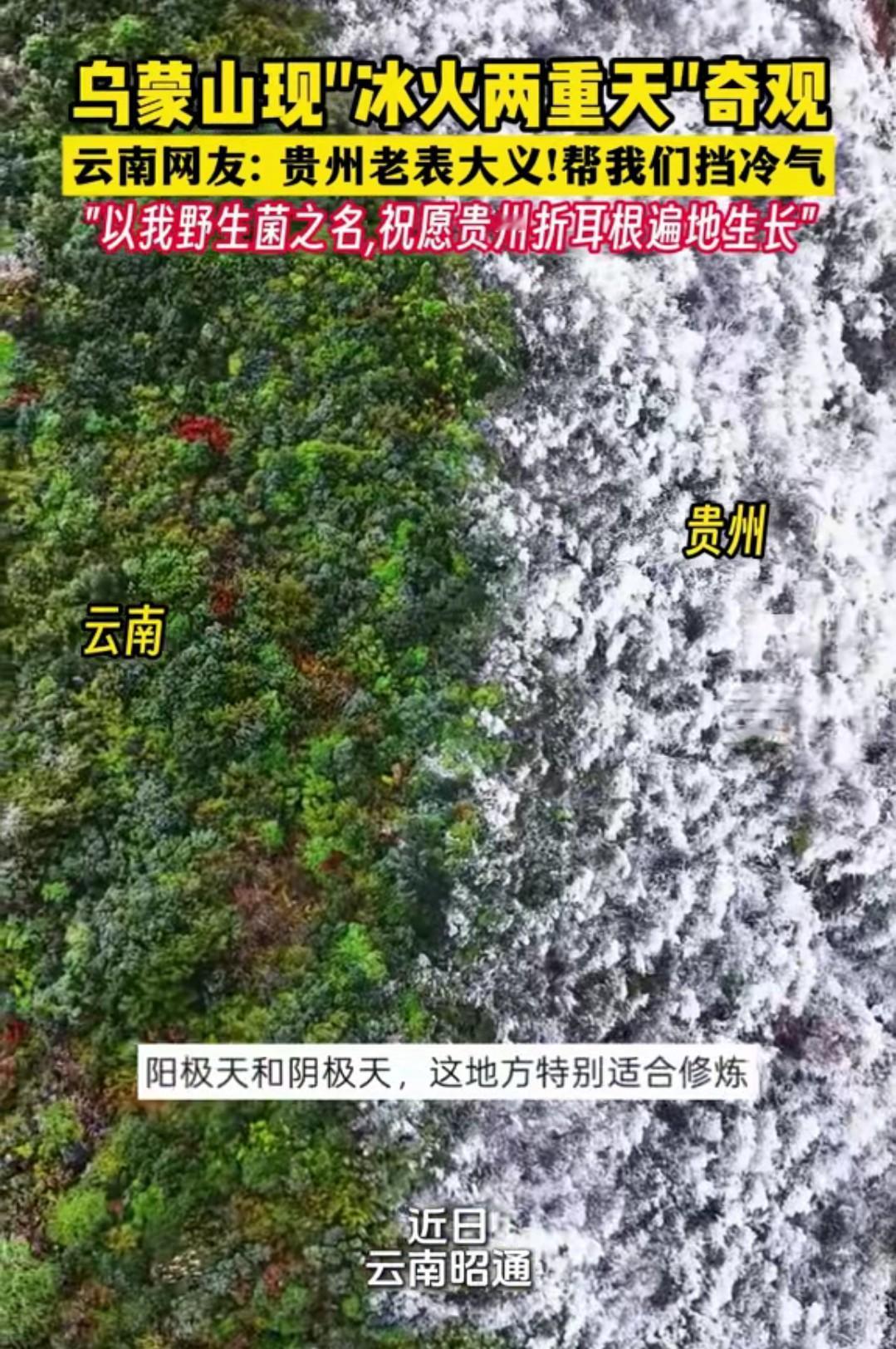 近日，因为天气变化，云贵两省交界处的乌蒙山直接冰火两重天，有人戏称这里极阴极阳，