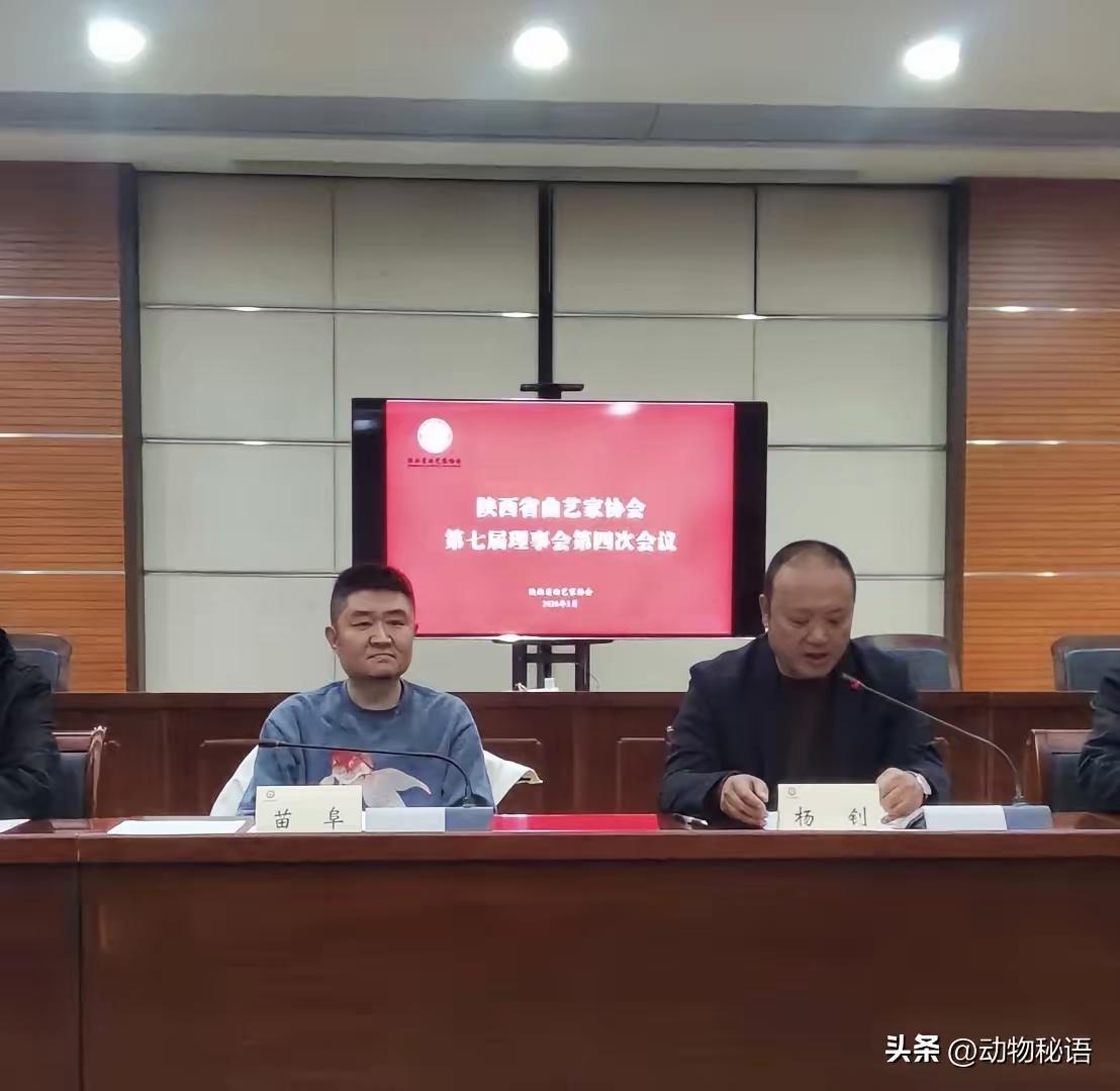 这事有点太搞笑了吧，简直比舞台上的包袱好笑一百倍。
在陕西省曲艺家协会第七届理事