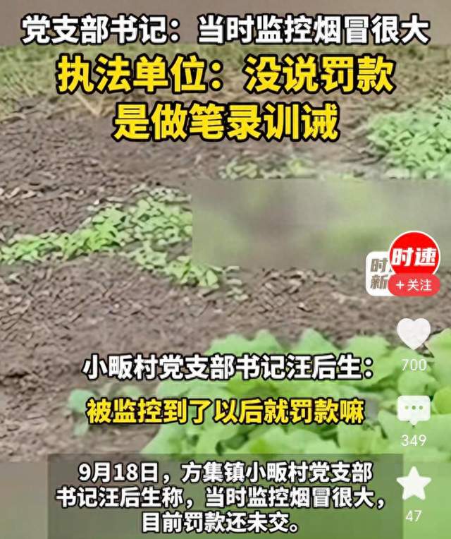 菜地烧1平米杂草被罚款？河南固始执法引争议