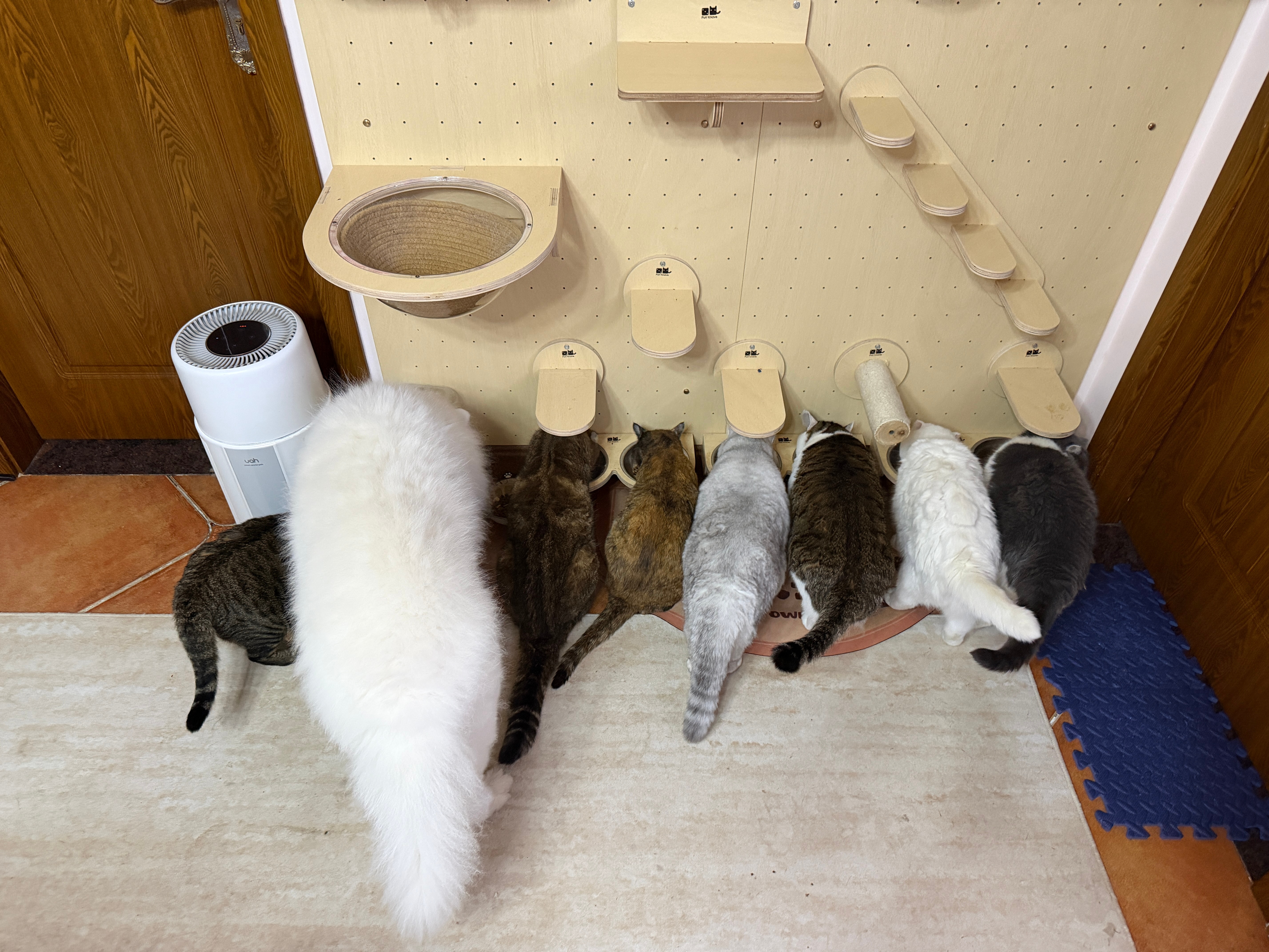 养猪大户。 