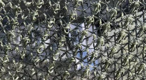 乌克兰无人机在天上横行的日子到头了？谁也没料到，终结它们的不是激光武器，不是电子