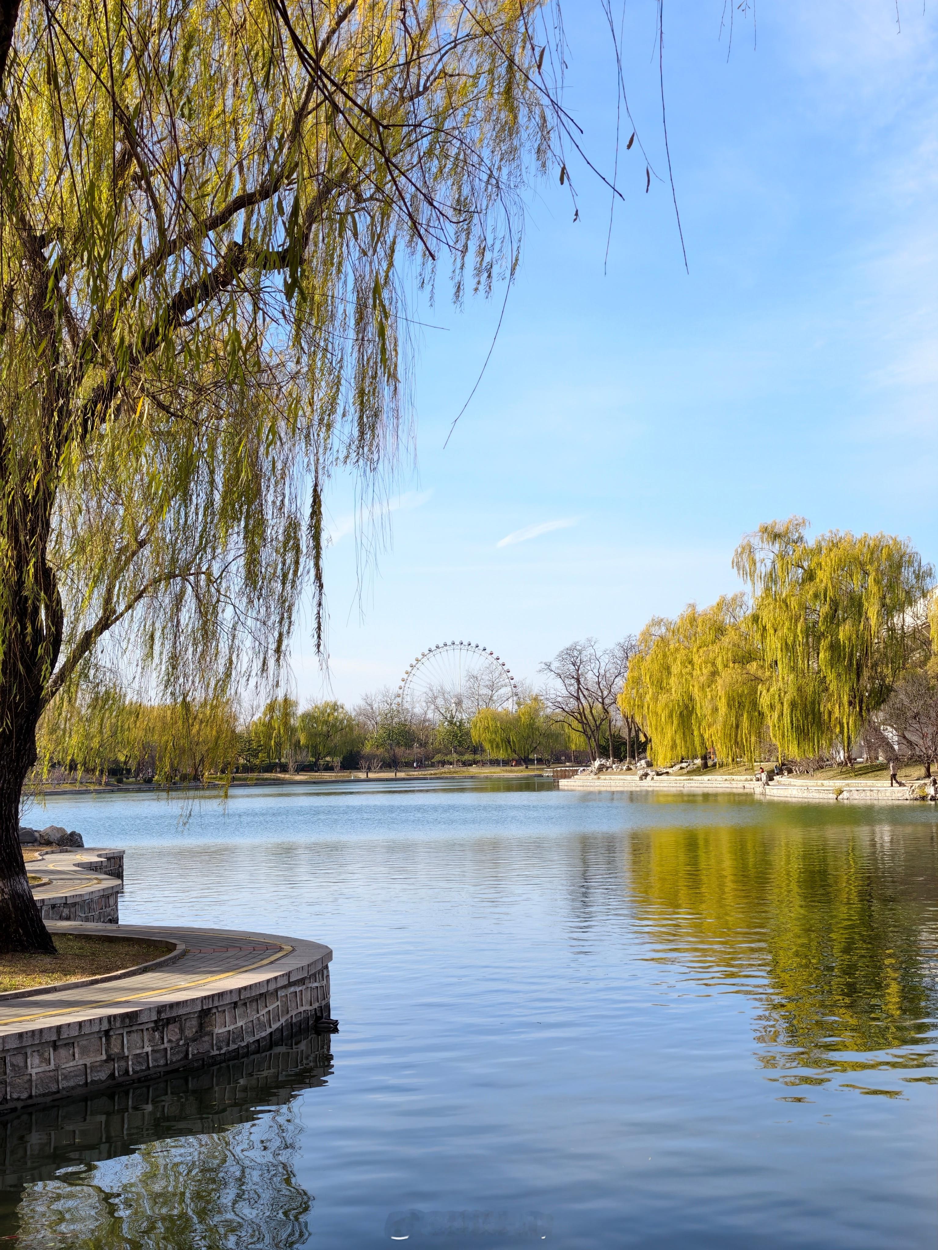 今天的龙潭湖好美好惬意。 北京·龙潭公园