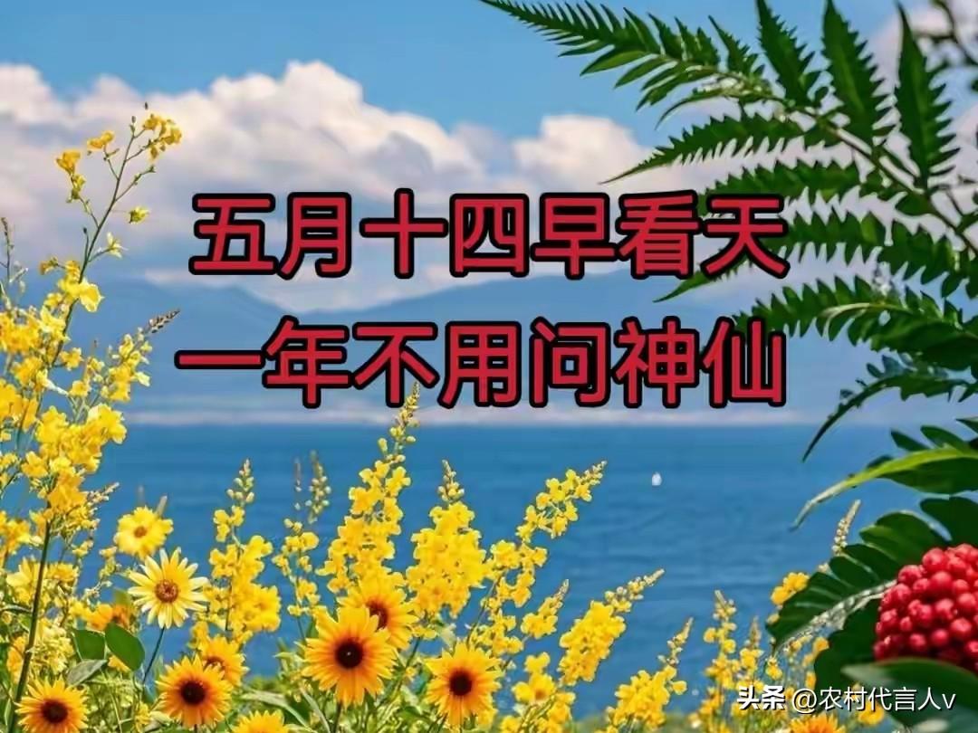 “五月十四早看天，一年不用问神仙”，今日五月十四，有何预兆？
 
农历五月十四，