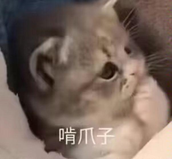 分享一下你最近做的奇怪的梦 ​​​