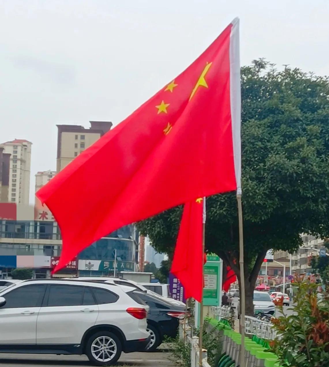 拖着行李箱的女孩等在路囗，国庆放假了。
喜迎国庆，节日气氛很浓，越发显得人群拥挤