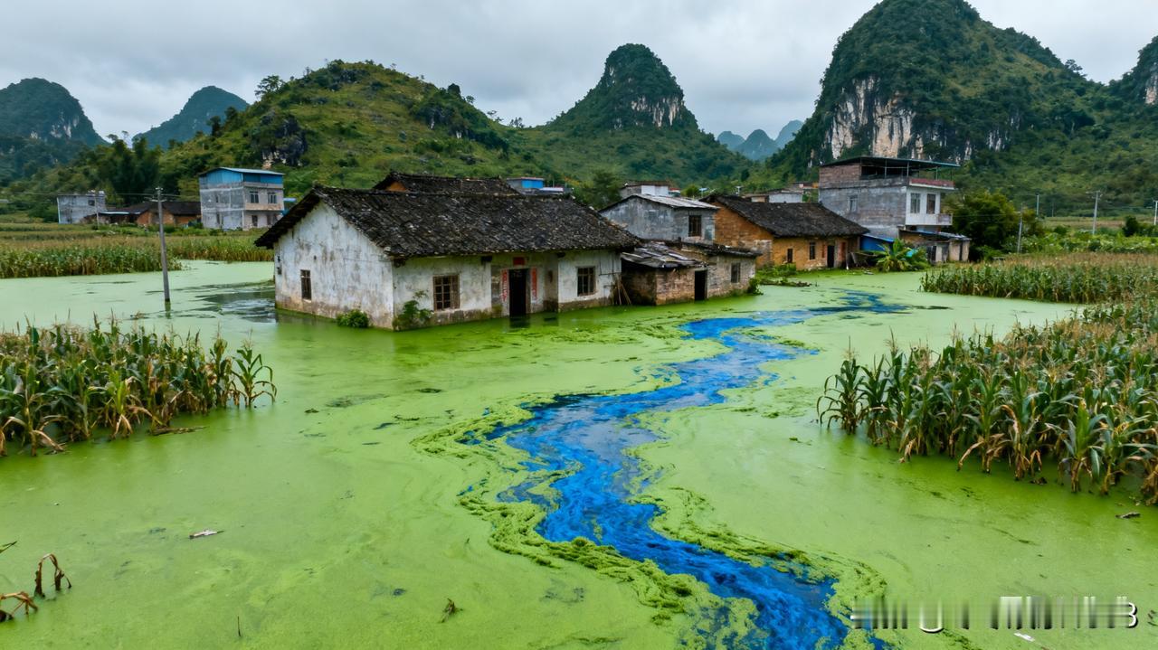 不得了！广西百色洪水变绿问题严重。10月19日受台风影响，百色多地暴雨成灾，部分