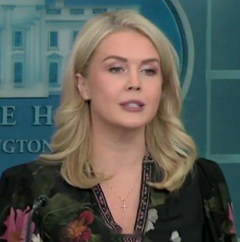 白宫新闻秘书莱维特通报特朗普政绩✅签署了历史上规模最大的中产阶级减税法案，包括小