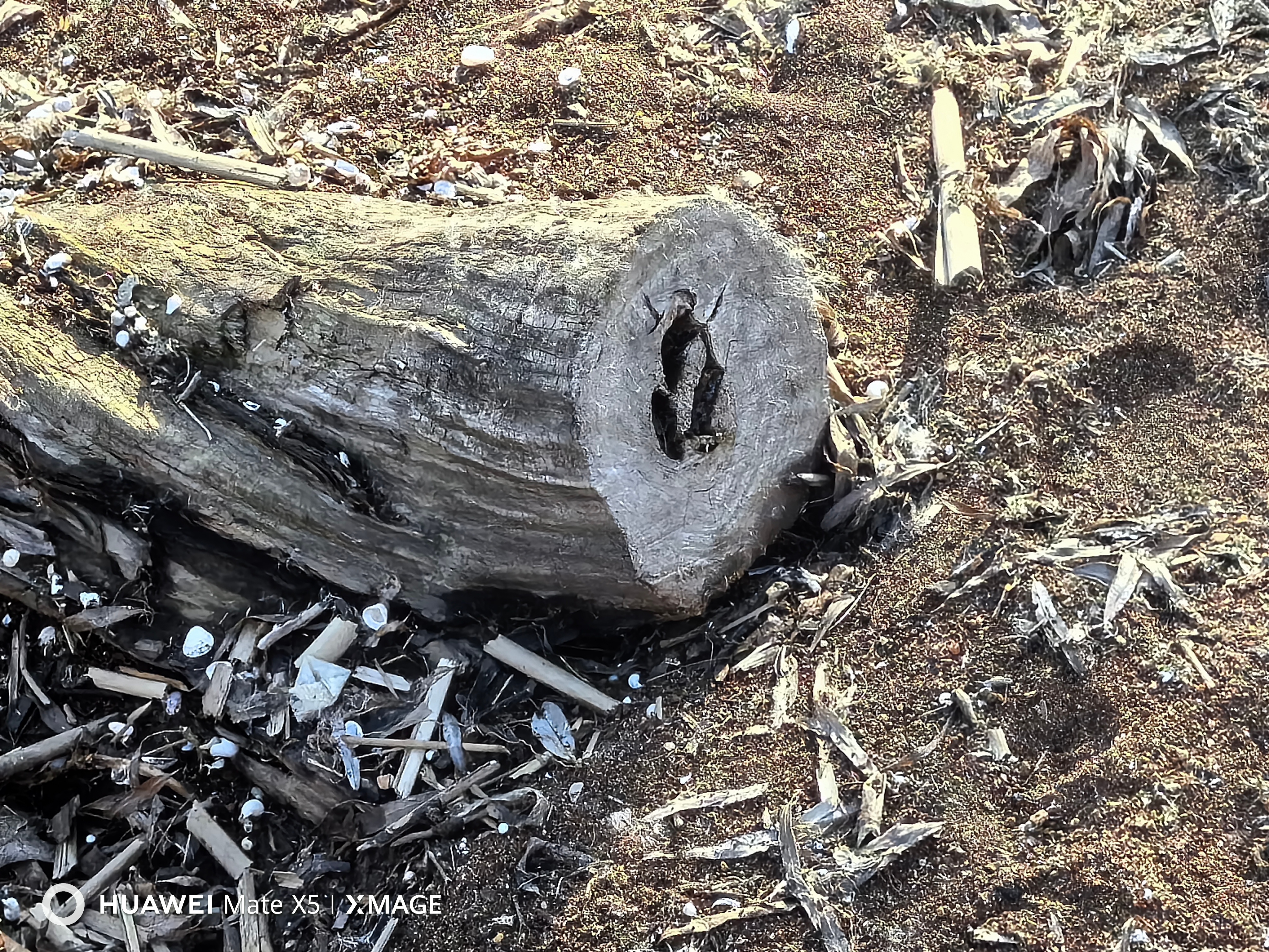多少历史化为尘与土，又留下多少误会和误解。最近考证项羽战败，南逃路线，发现不肯过