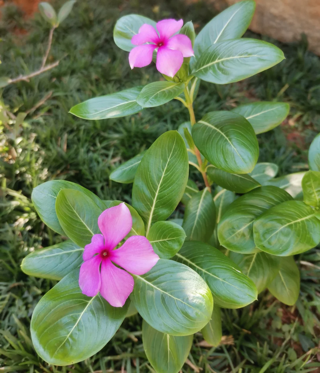 富养自己之晚上九点就睡觉