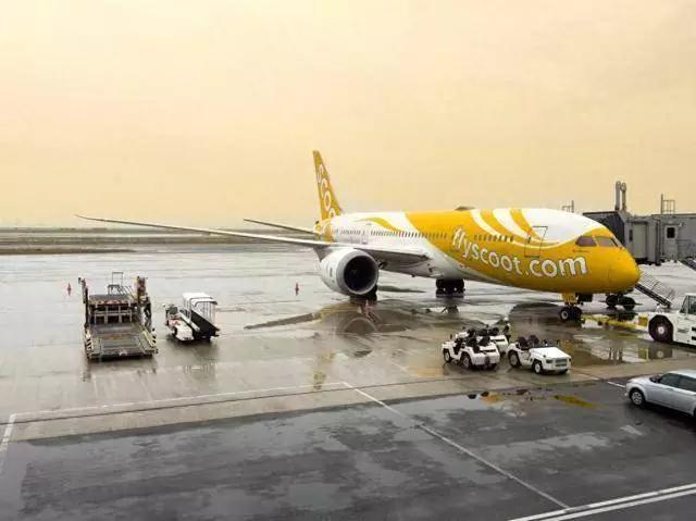 这男子真猛竟在飞行的5小时里性侵身旁女乘客。好在受害者反应快，立刻向机组求助。机